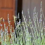 Tenuta Carabollace * Sciacca