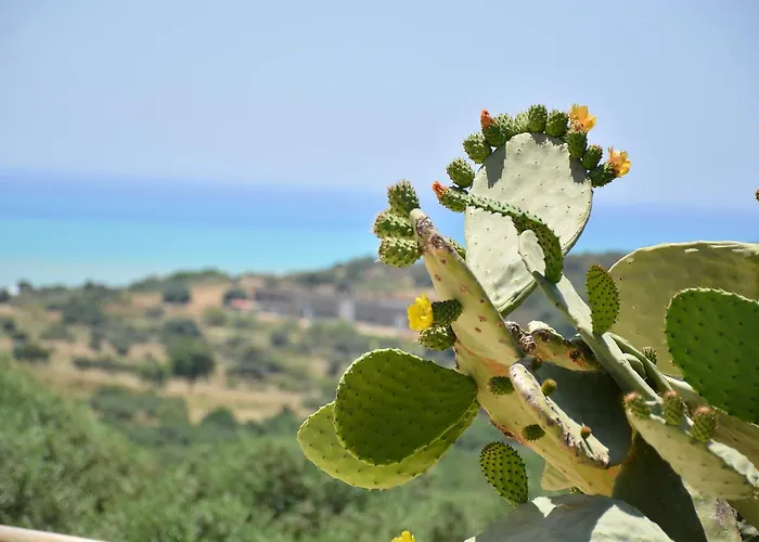 Tenuta Carabollace بيت للعطل شاكا